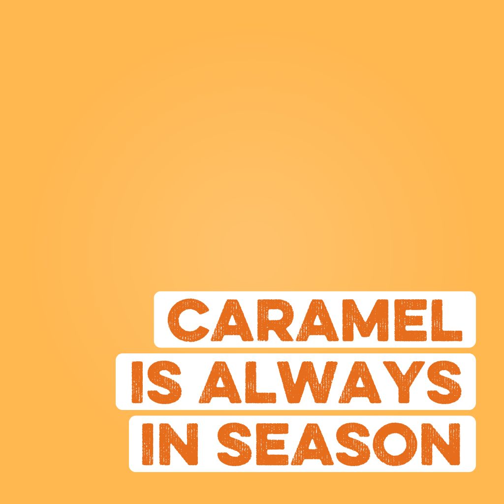 Clean Simple Eats Protein Powder: Caramel Toffee (10 Single Serving Stick Packs) - Image 3