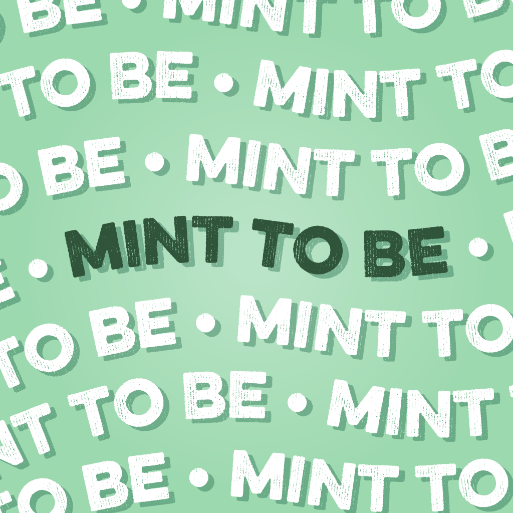 Clean Simple Eats Protein Powder: Mint Chocolate Cookie (10 Single Serving Stick Packs) - Image 2